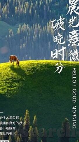 世界杯国足-国足在世界杯舞台上的挑战与机遇